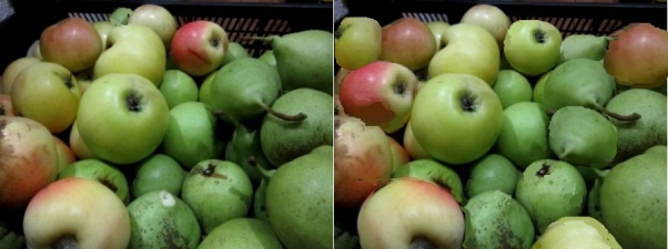 Картинки с фруктами: ищем 12 отличий